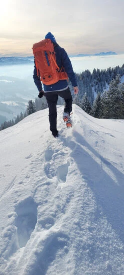 Ortovox Peak 35 - Mountaineering Backpack -Camping supply store ortovox peak 35 tourenrucksack 479eeaaef0ad34f8d4b20e458b7c94a1 1